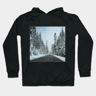 White winter scenery Hoodie